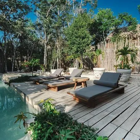 Moderno Departamento En La Selva Tulum