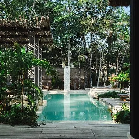 Moderno Departamento En La Selva *
