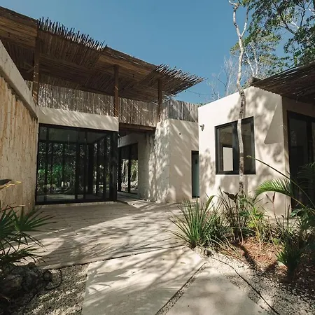 Apartment Moderno Departamento En La Selva Tulum
