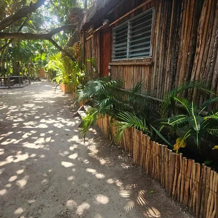 Eco.banitas Tulum