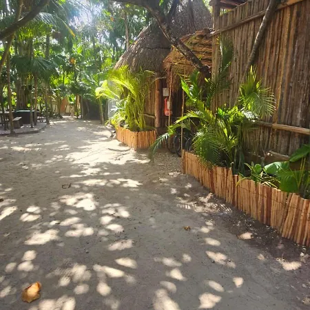 Eco.banitas 3*