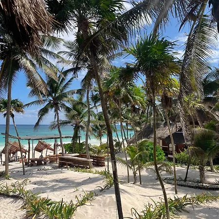 Bt Live Located At The Party Zone 4* Tulum