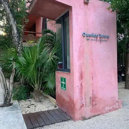 Apartamento Private In Aldea Zama *