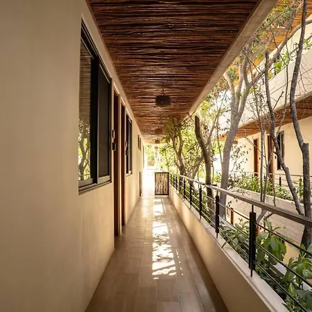 Apartamento New 1 Bedroom -