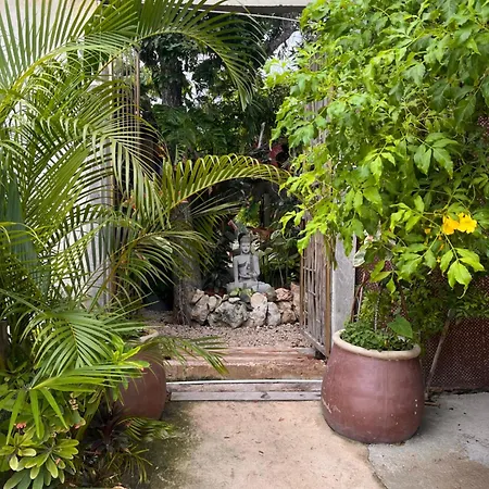 Aventura Guest house *