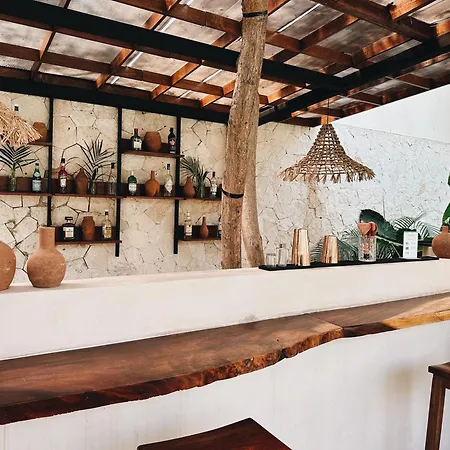 Bambu Con Alberca Privada En * Tulum