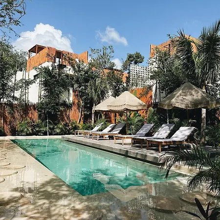 Apartment Bambu Con Alberca Privada En *