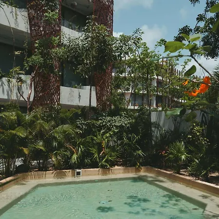 Premium 2br Retreat With Private Rooftop Pool And Hot Tub In *
