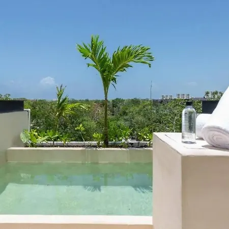 Apartment Penthouse In