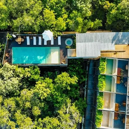 Penthouse In *