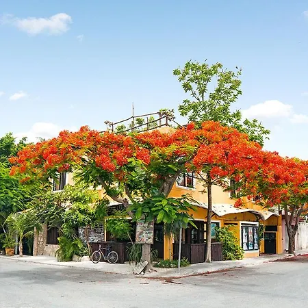 Downtown 3* Tulum