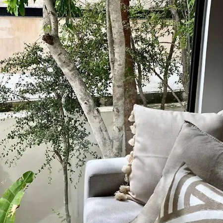 Nuevo Estilo Ecologico 6 Personas Aldea Zama * Tulum