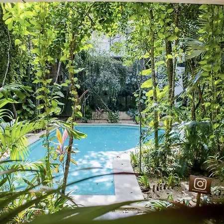 Apartment Acinte A1 Tuluminati Perfecto Y Tranquilo Tulum