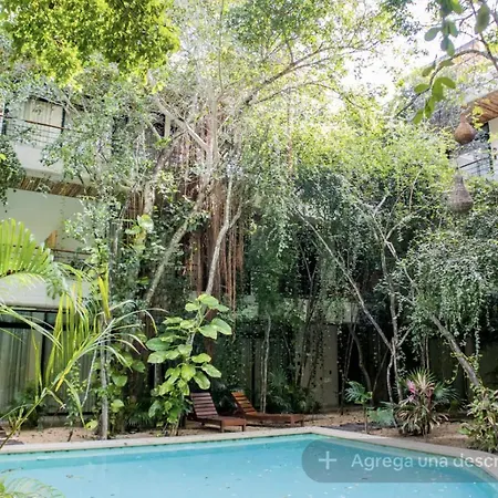 Acinte A1 Tuluminati Perfecto Y Tranquilo Apartment Tulum