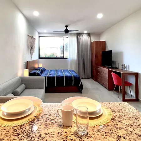 Apartment Studio En Aldea Zama , *