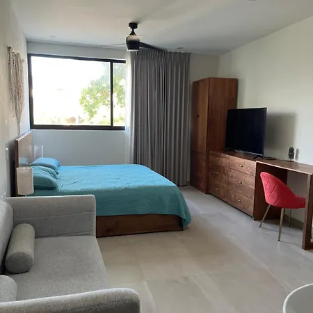 Studio En Aldea Zama , *