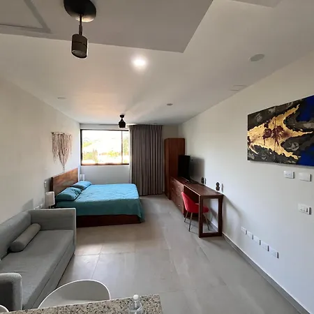 Studio En Aldea Zama , *