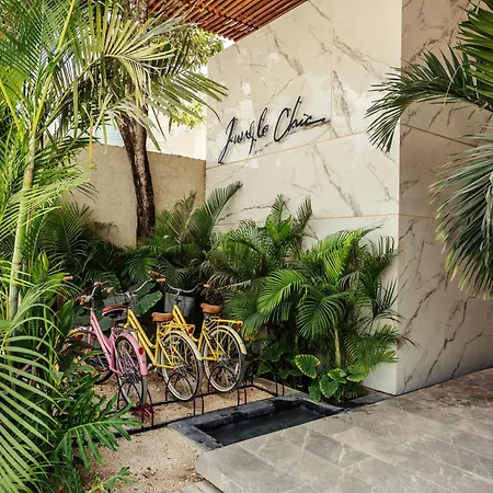 Jungle Treasure In Apartment