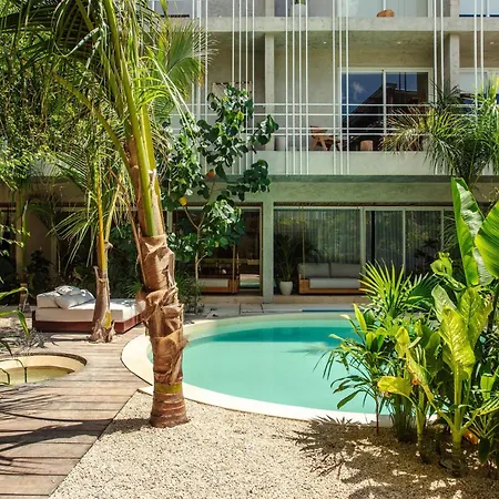 Apartment Jungle Treasure In