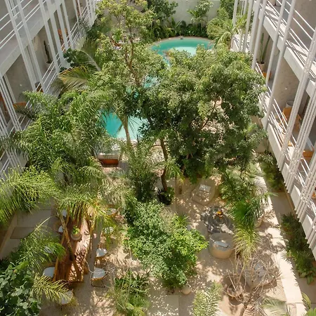 Jungle Treasure In * Tulum