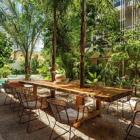 Jungle Treasure In