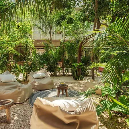 Jungle Treasure In Apartment Tulum