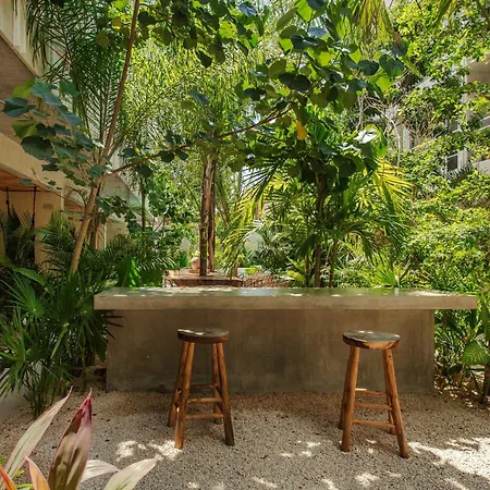 Apartment Jungle Treasure In