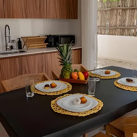 Casa Parvati 2 Hab Con Alberca Privada, Aldea Zama Apartment