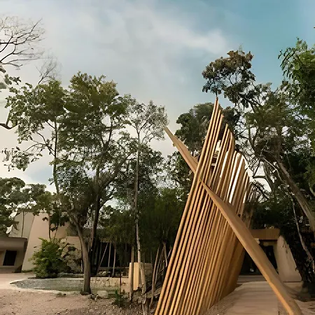 Casa En La Selva Nueva Relajante De Ensueno *