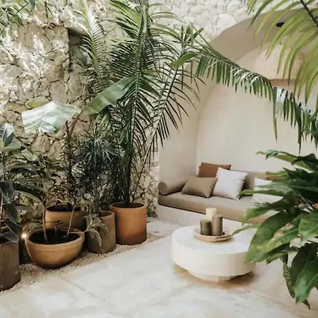 Apartment Design Casa Patchouli With Private Pool And Loung *