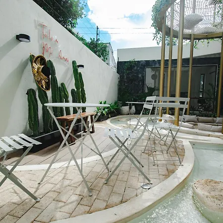 Cozy New Modern Studio In