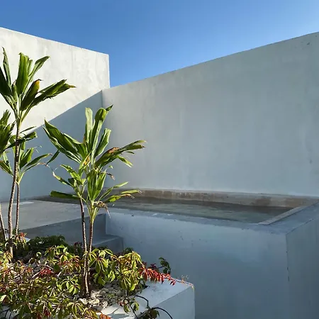 Apartment La Veleta Modern Jungle Living