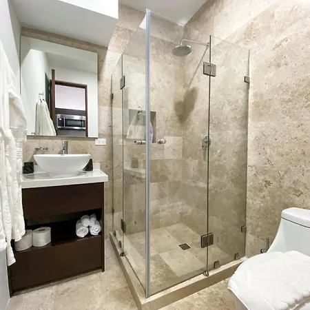 Apartment Downtown 2br With Priv Roof And Pool. Top Amenities