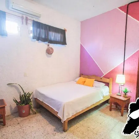 Straw & Rooftop Bar Hostel *