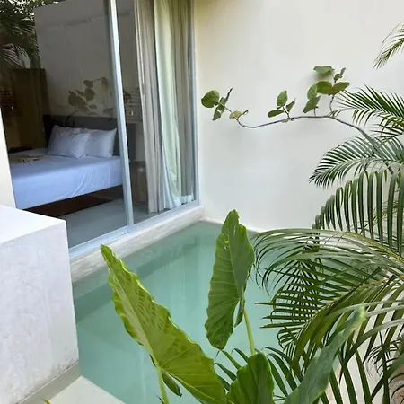 Aruna Alberca Privada Great Wifi Apartment