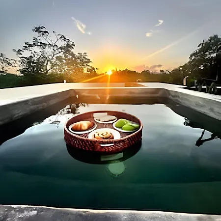 Jungle Retreat Selva Pixan Tulum