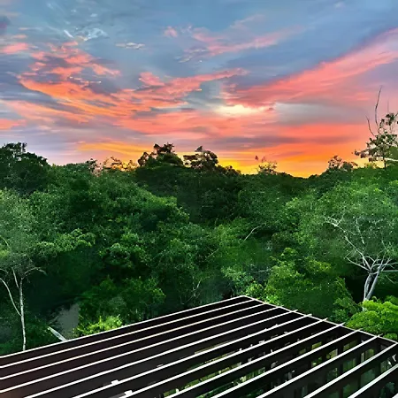 Jungle Retreat Selva Pixan Villa *