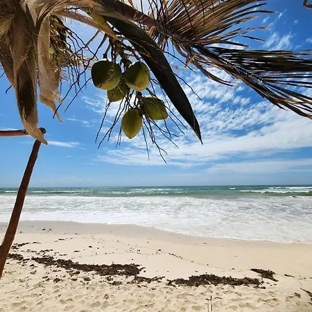 Boho Departamento Aldea Zama Tulum