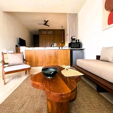 Departamento Mexico Contemporaneo Tulum