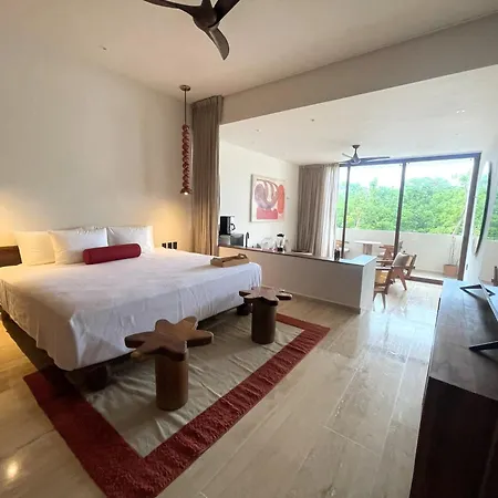 Departamento Mexico Contemporaneo Apartment *