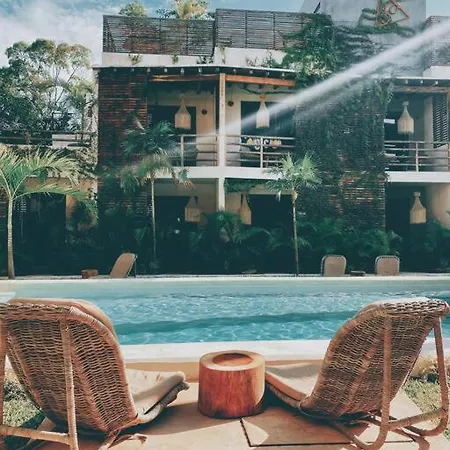 Apartment Oasis In Hippest Part Of *