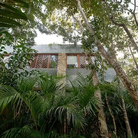 Casa Venus 3br 3bth Jungle Villa, Rooftop, Private Pool Tulum