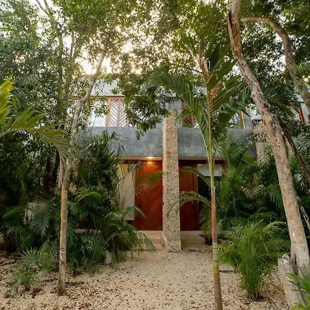 Casa Venus 3br 3bth Jungle Villa, Rooftop, Private Pool Holiday home