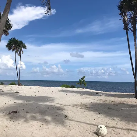 Hermoso Departamento En Aldea Tulum