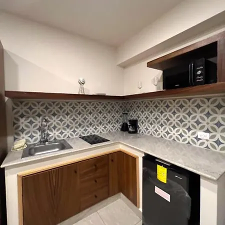 Apartment New P-2, Alberca, Asoladero, Roof Ir05