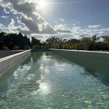 Escapada En La Selva: Acogedor Departamento