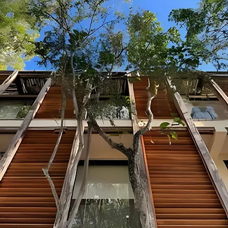Escapada En La Selva: Acogedor Departamento Apartment *