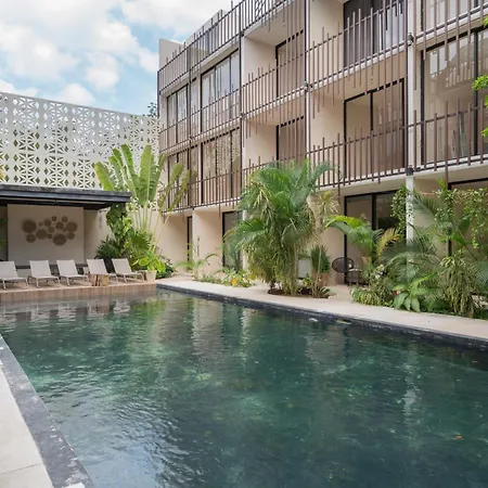 Estudio Luxury Con Acabado De Chukum Encantador En * Tulum