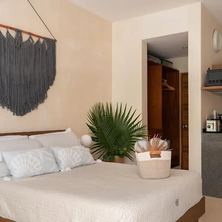 Estudio Luxury Con Acabado De Chukum Encantador En Apartment Tulum