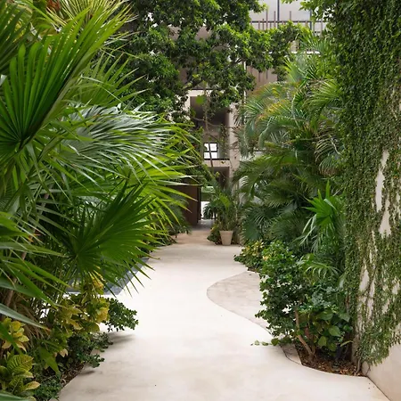 Estudio Luxury Con Acabado De Chukum Encantador En * Tulum